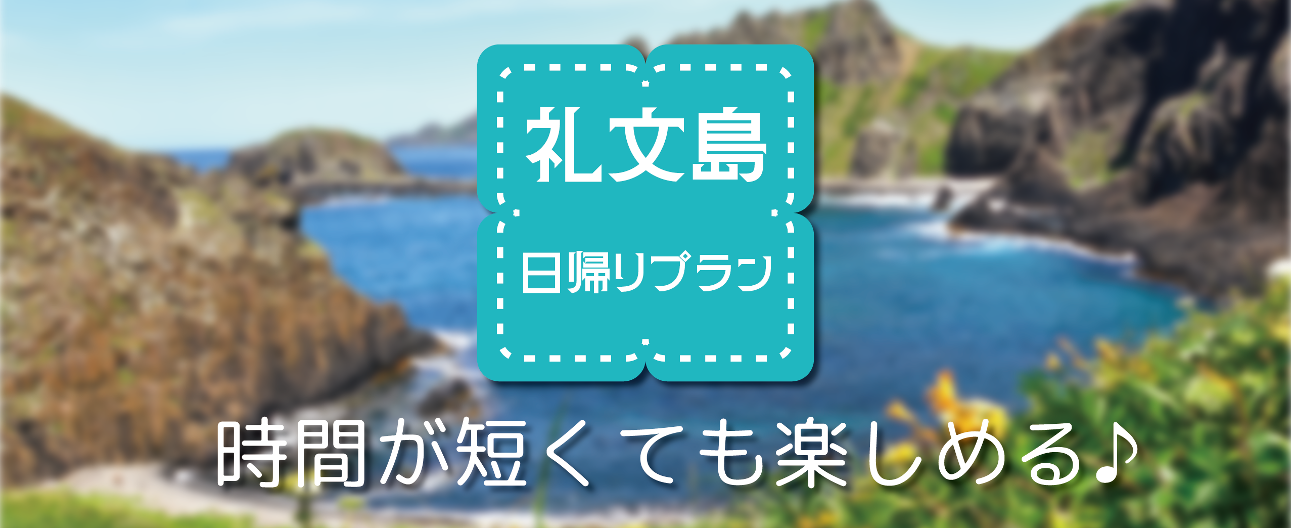 日帰りプラン
