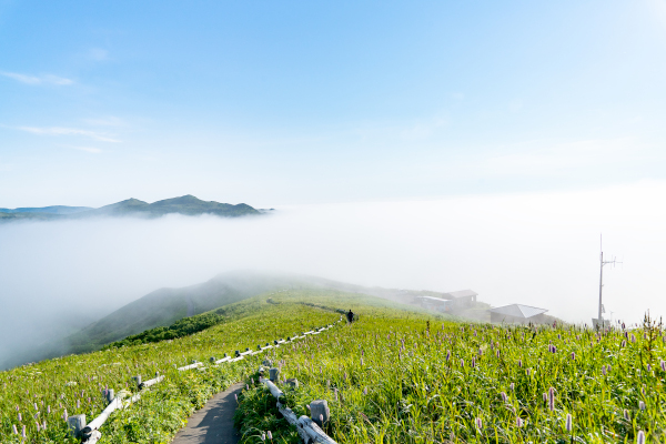 雲海写真4