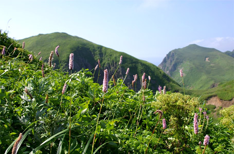 桃岩展望台コース